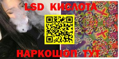 гидра Кандалакша