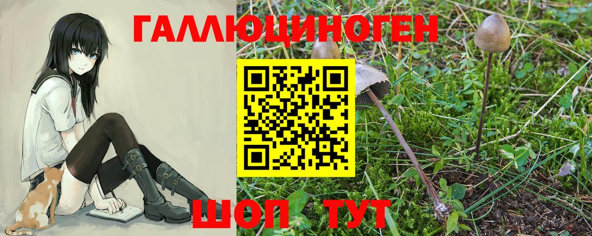 Галлюциногенные грибы прущие грибы  Вход с VPN  Армавир  Псилоцибиновые грибы GOLDEN TEACHER 
