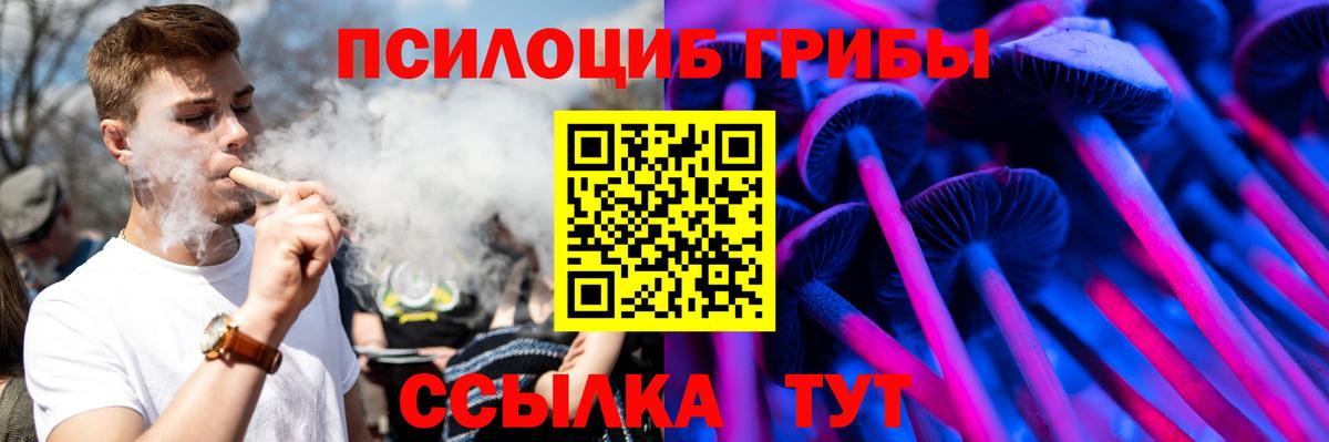 Галлюциногенные грибы Psilocybine cubensis Армавир